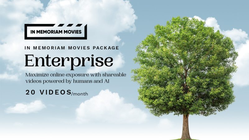 IMM Package Enterprise